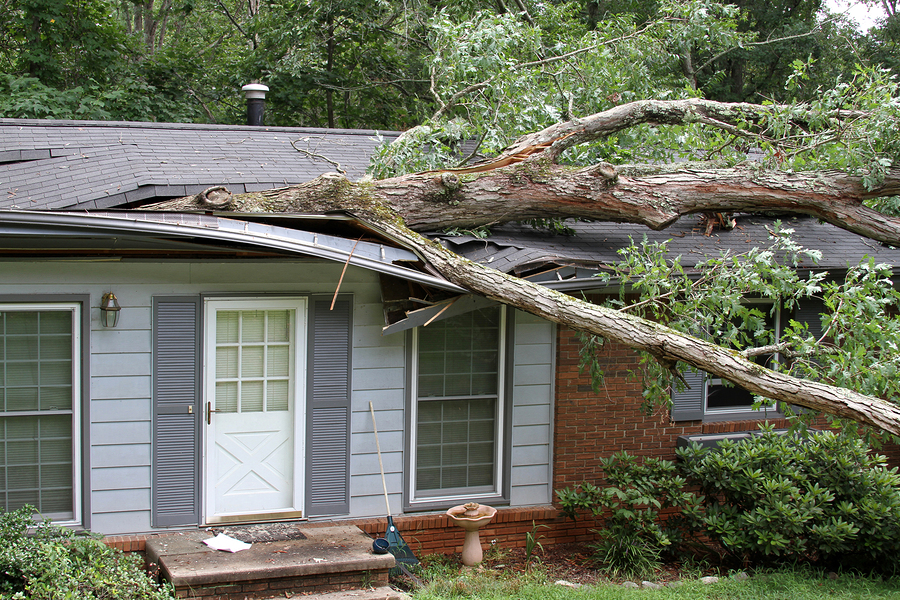 Oak Impales House Roof Repair, Storm Damage