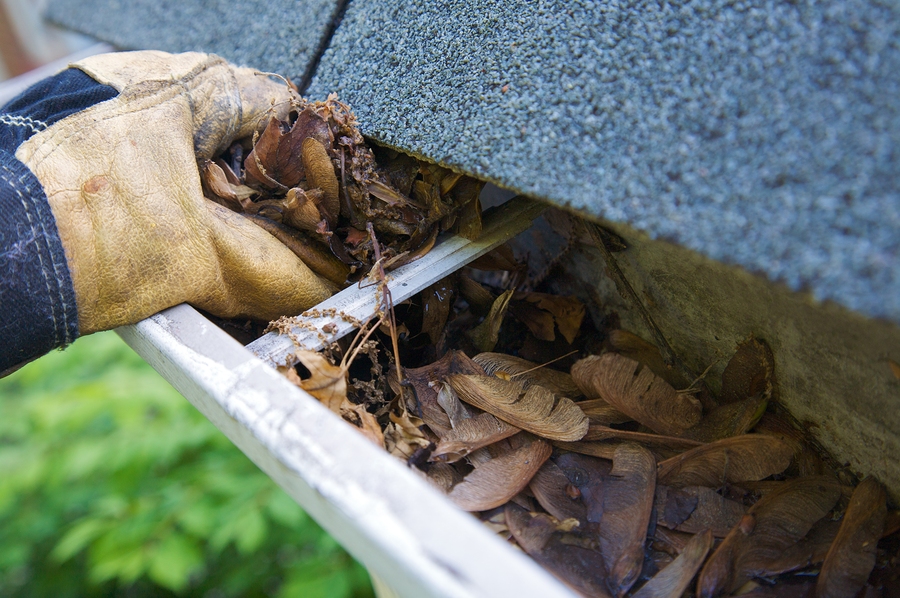 Gutter Cleaning, Harrisonburg