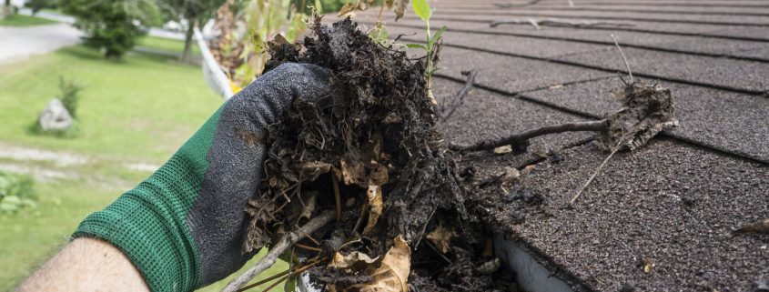 Gutter Guards save you time, money and hassle