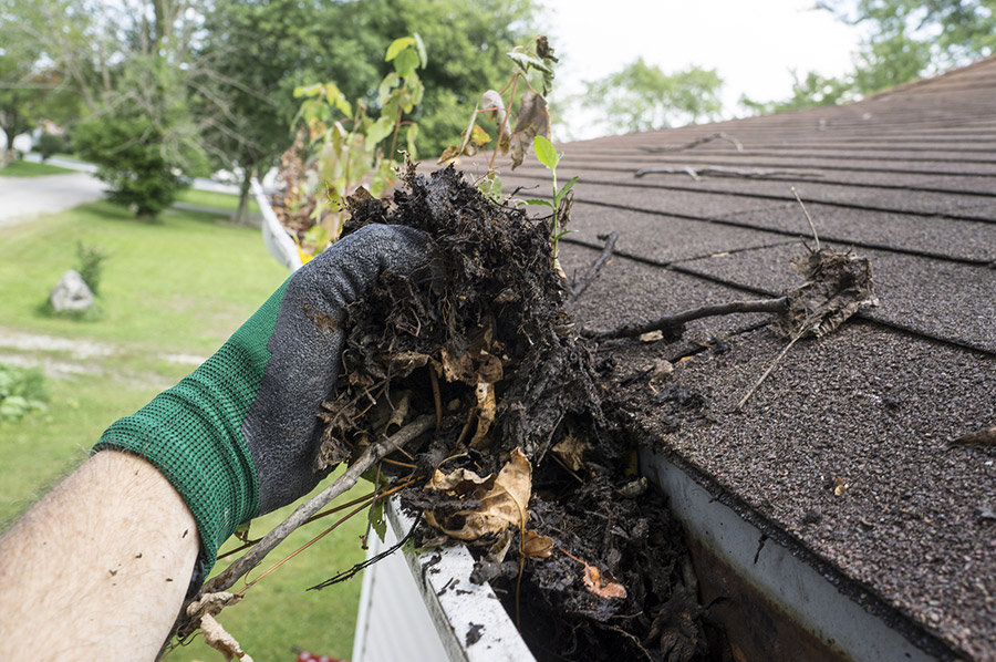 clogged gutters need gutter cleaning